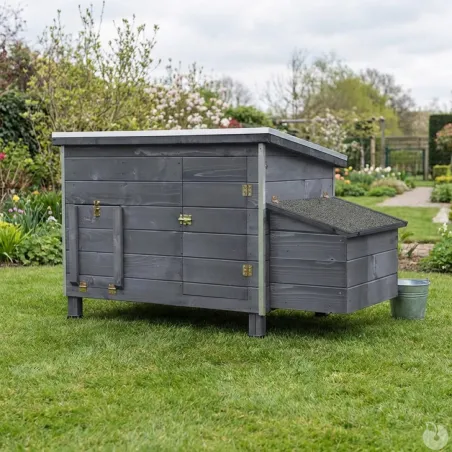 Poulailler Managua Stone - Bois & aluminium premium