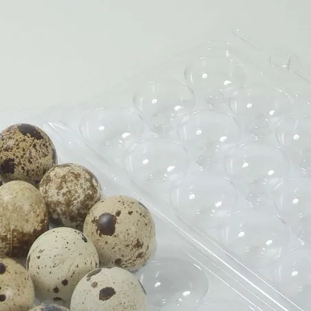 Boîtes à œufs de caille plastique - 18 œufs - Lot de 500