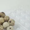 Boîtes à œufs de caille plastique - 18 œufs - Lot de 500