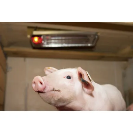 Chauffage électrique pour élevage de volailles et mammifères