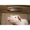 Chauffage électrique pour élevage de volailles et mammifères