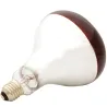 Ampoule chauffante infrarouge 100W pour éleveuse