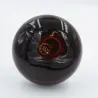 Ampoule chauffante infrarouge 100W pour éleveuse