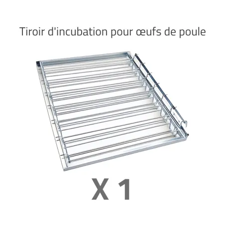 Couveuse multi-espèces : caille, poule, oie, paon, dinde