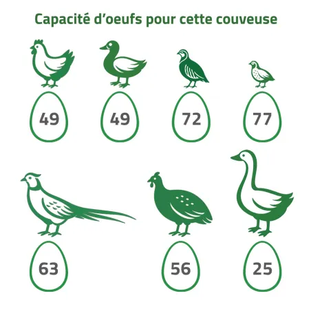Couveuse multi-espèces : caille, poule, oie, paon, dinde