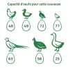 Couveuse multi-espèces : caille, poule, oie, paon, dinde