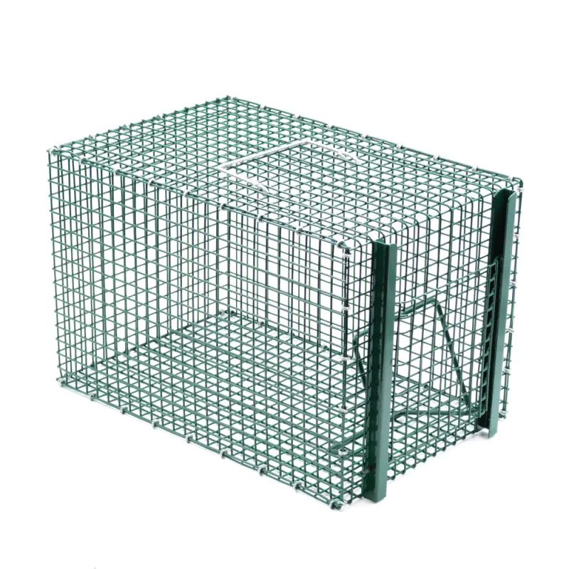 Piège à pie galvanisé 21x31x21 cm - Grillage soudé