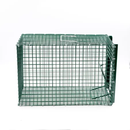 Piège à pie galvanisé 21x31x21 cm - Grillage soudé