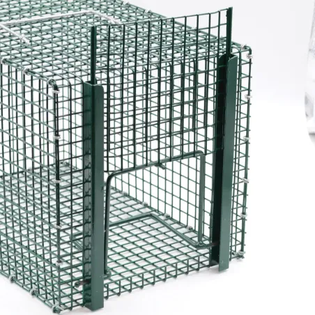 Piège à pie galvanisé 21x31x21 cm - Grillage soudé