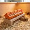 Mangeoire 30 cm plastique à trous pour poussins - Orange GAUN