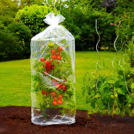 Housses pour tomates - Lot de 2 - Ø40x130 cm