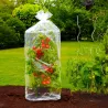 Housses pour tomates - Lot de 2 - Ø40x130 cm
