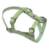 Licol cuir réglable pour mouton et bélier - 55 caractères