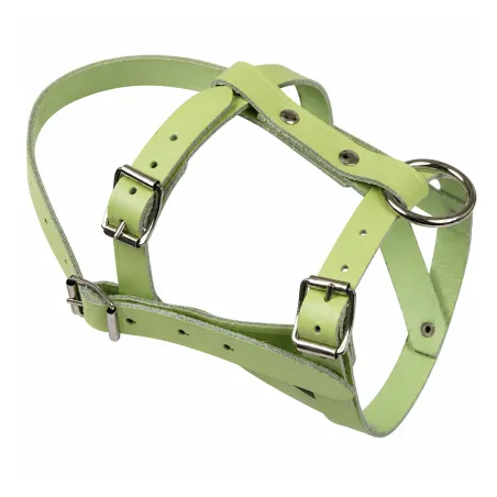 Licol cuir réglable pour mouton et bélier - 55 caractères