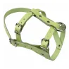 Licol cuir réglable pour mouton et bélier - 55 caractères
