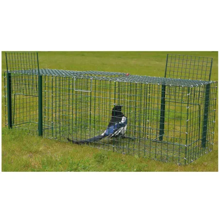 Cage à pie corbeau 3 compartiments 47x47x120 cm