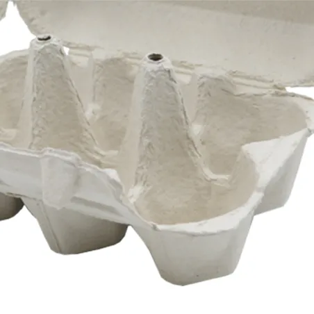 Boîtes à œufs carton 2x6 - Lot de 124 pièces premium