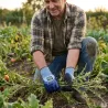 Gants Eco Protect sans latex - Norme II pour élevage et jardin