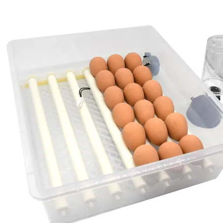 Couveuse SP Couvitech® 36 œufs automatique pour élevage