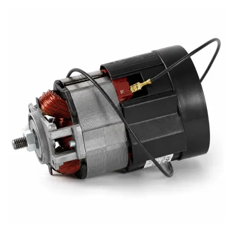 Moteur de rechange pour moulin à céréales Vercella ET