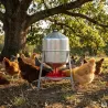 Abreuvoirs galvanisés 30L pour volailles - Lot de 2