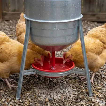 Abreuvoirs galvanisés 30L pour volailles - Lot de 2
