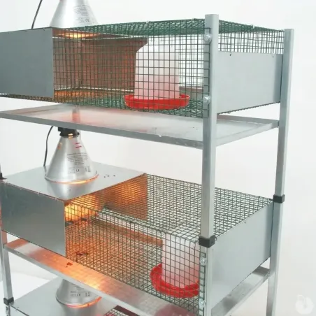Kit 3 cages éleveuses poussins/cailles + accessoires