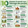 Poulailler bois 3 poules - toit asphalte et fenêtre