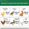 Poulailler bois 3 poules - toit asphalte et fenêtre