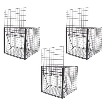 Pièges à pie galvanisés - Lot de 3 - 21x31x21cm efficace