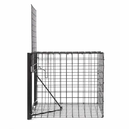 Pièges à pie galvanisés - Lot de 3 - 21x31x21cm efficace