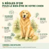 Chenil modulaire 2m avec porte - Kit complet acier