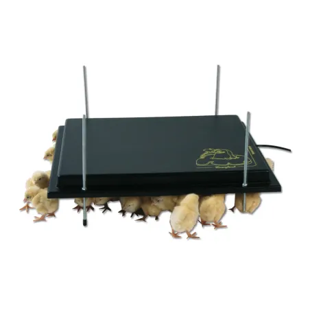 Panneau chauffant 15W pour poussins - Économique et durable