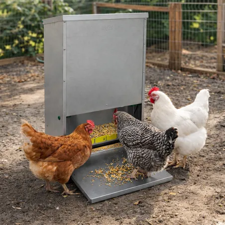 Mangeoire trémie anti-nuisibles 23 kg tôle galvanisée