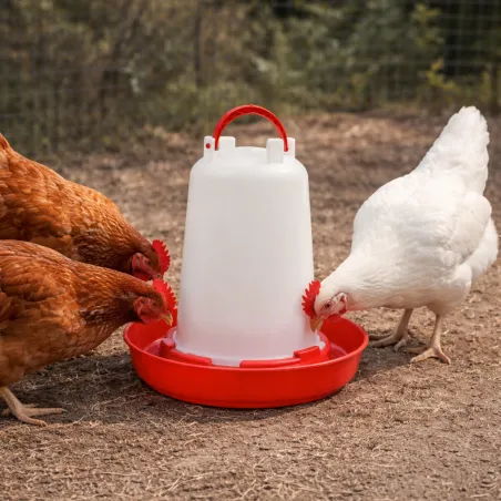 Abreuvoir poule 1,5L - Robuste avec poignée et pieds