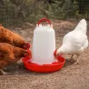 Abreuvoir poule 1,5L - Robuste avec poignée et pieds