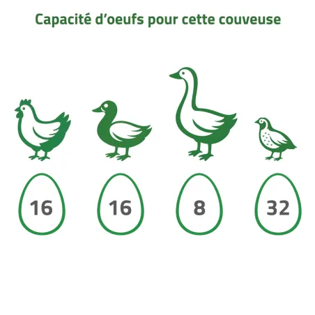 Couveuse Couvitech SP-16 pour 16 œufs automatiques