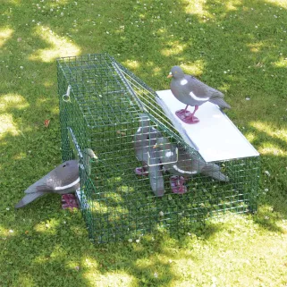Piège à pigeons double entrée 60x60x45 cm