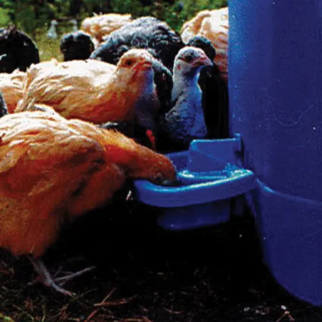 Abreuvoir Maxi Cup - Automatique et polyvalent