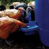 Abreuvoir Maxi Cup - Automatique et polyvalent