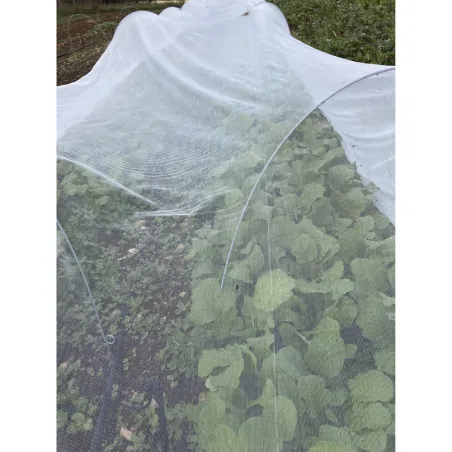 Filet protecteur anti-insectes pour cultures fruitières