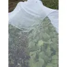 Filet protecteur anti-insectes pour cultures fruitières