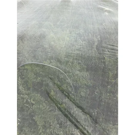 Filet protecteur anti-insectes pour cultures fruitières