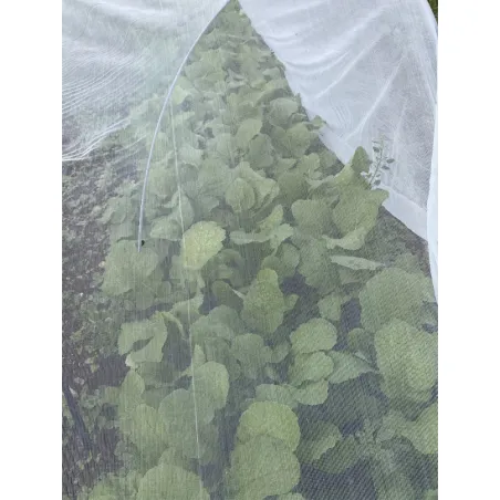 Filet protecteur anti-insectes pour cultures fruitières