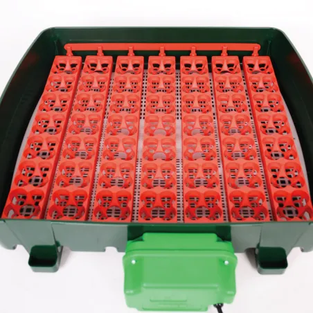 Couveuse River System Egg Tech 49 œufs automatique