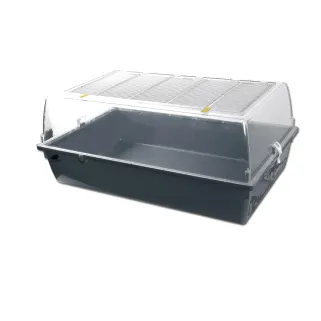 Bac transparent pour élevage de poussins 75x45x30 cm