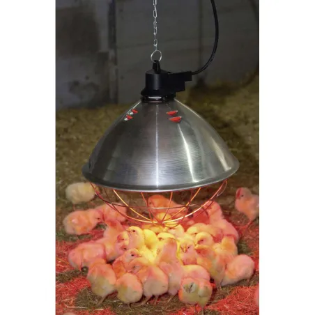 Éleveuse électrique 35 cm - Aluminium robuste