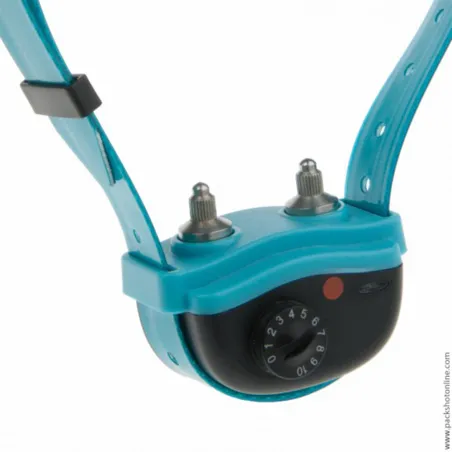 Collier anti-aboiements Canicalm Excel pour chiens têtus