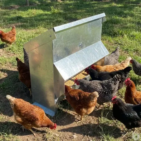 Mangeoire galvanisée 20 kg pour volailles et gibier