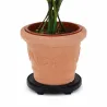 Roule-pot 30 cm pour plantes - Déplacement facile